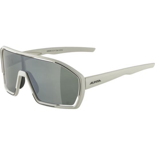 Okulary Alpina Bonfire Q-Lite cool-grey matt